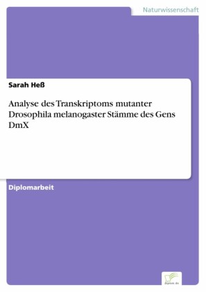 Analyse des Transkriptoms mutanter Drosophila melanogaster Stämme des Gens DmX