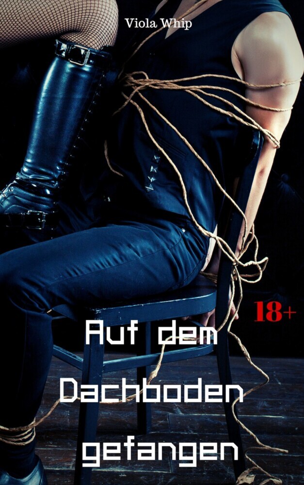 Auf dem Dachboden gefangen main product photo