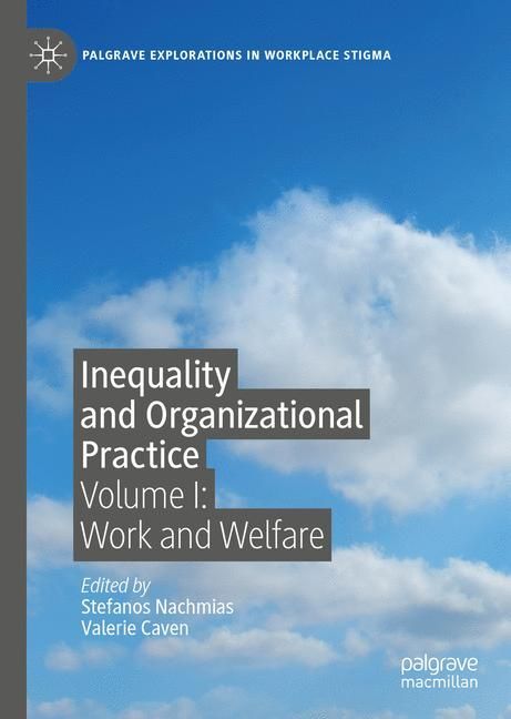 Inequality and Organizational Practice main product photo