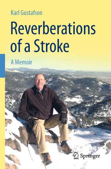 Reverberations of a Stroke main product photo