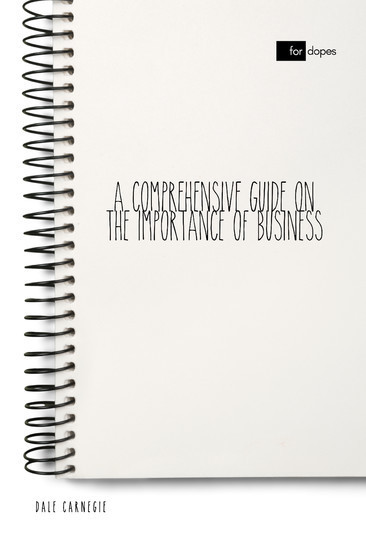 A Comprehensive Guide on the Importance of Business main product photo