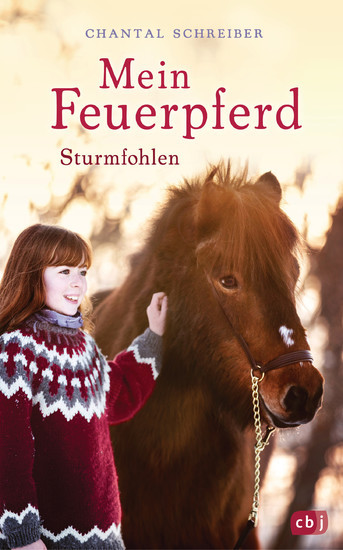 Mein Feuerpferd - Sturmfohlen main product photo