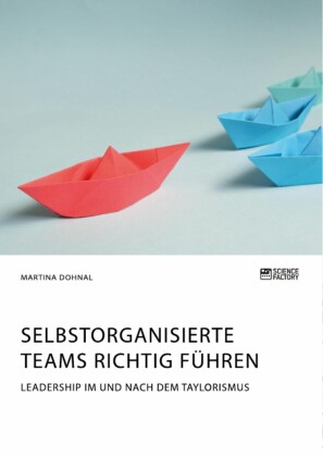 Selbstorganisierte Teams richtig führen. Leadership im und nach dem Taylorismus
