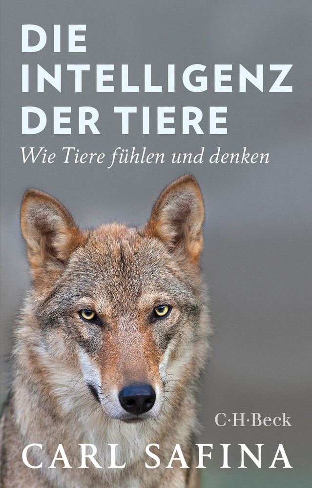 Die Intelligenz der Tiere main product photo