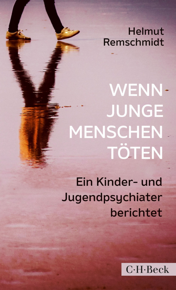 Wenn junge Menschen töten main product photo