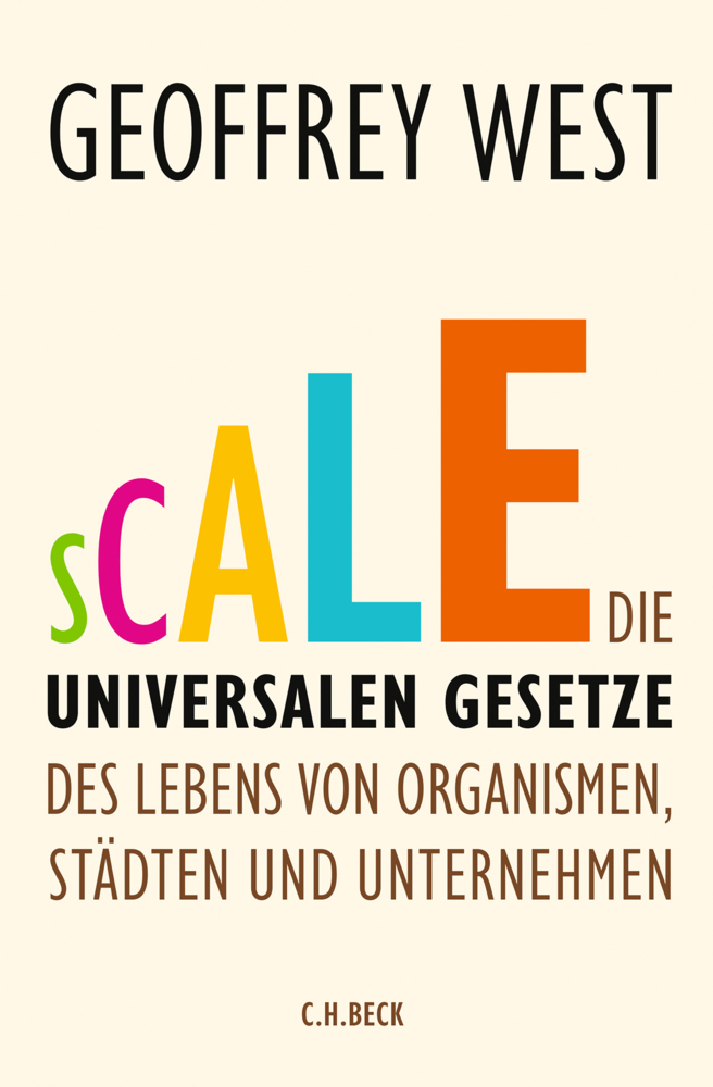 Scale main product photo