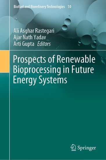 Prospects of Renewable Bioprocessing in Future Energy Systems main product photo