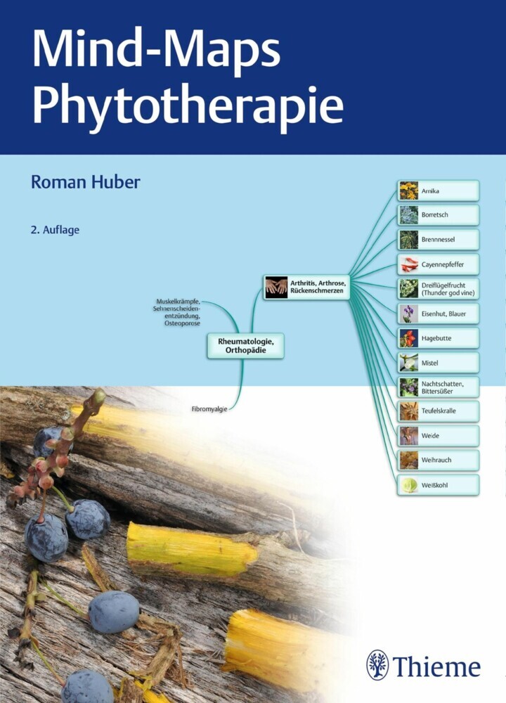 Mind-Maps Phytotherapie main product photo