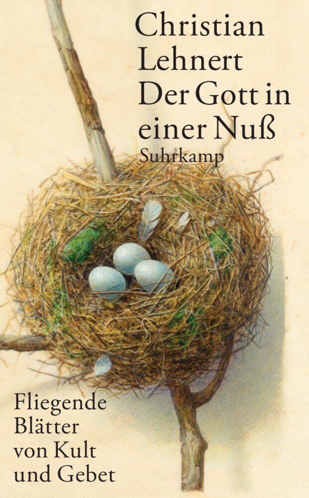 Der Gott in einer Nuß main product photo