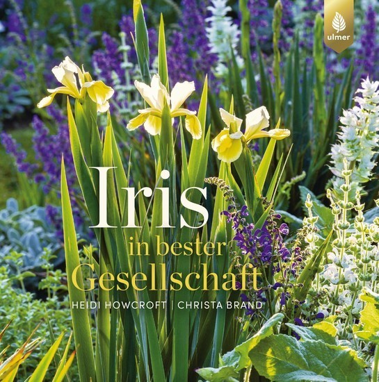 Iris in bester Gesellschaft main product photo