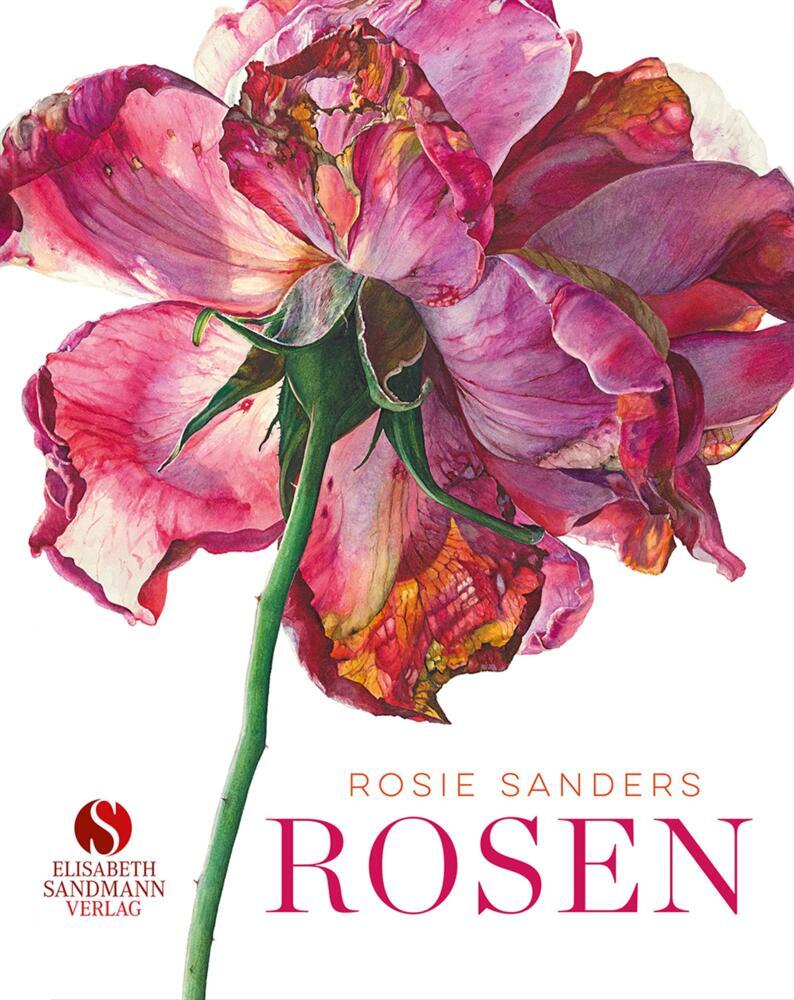 Rosen main product photo