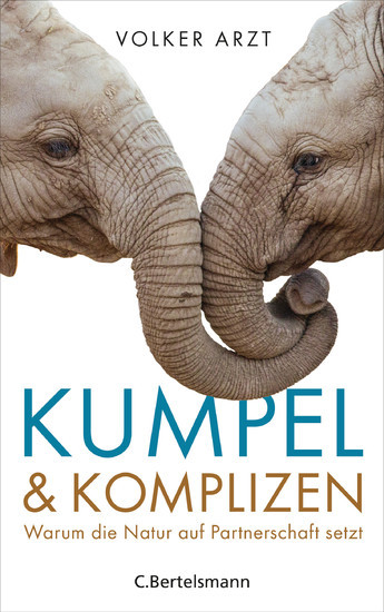 Kumpel und Komplizen main product photo