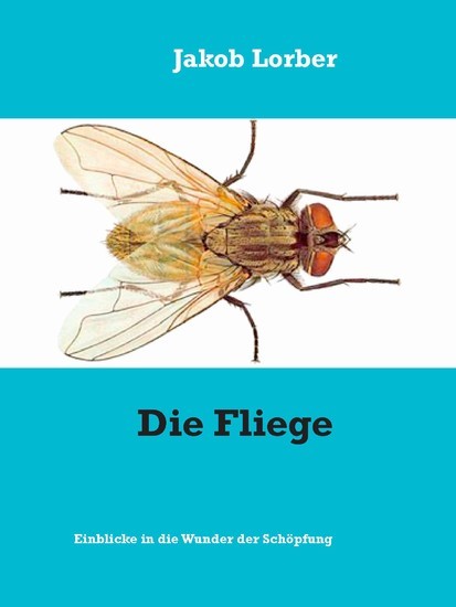 Die Fliege main product photo