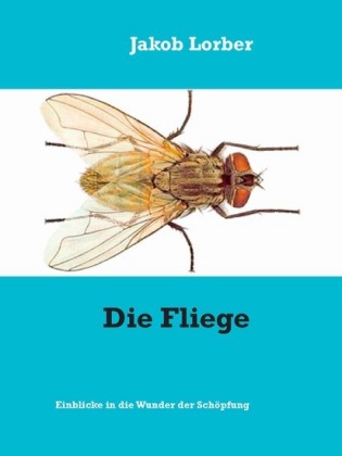 Die Fliege