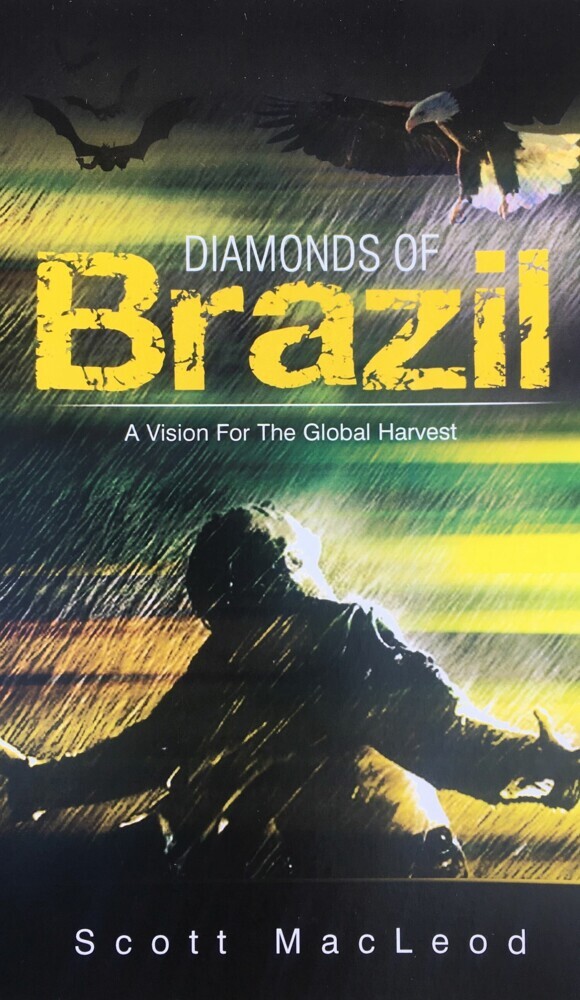 Diamonds of Brazil main product photo