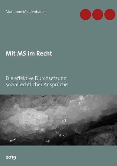 Mit MS im Recht main product photo