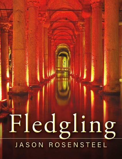 Fledgling main product photo
