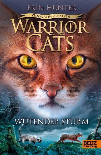 Warrior Cats - Vision von Schatten. Wütender Sturm main product photo