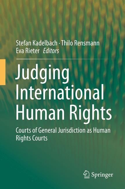 Judging International Human Rights main product photo