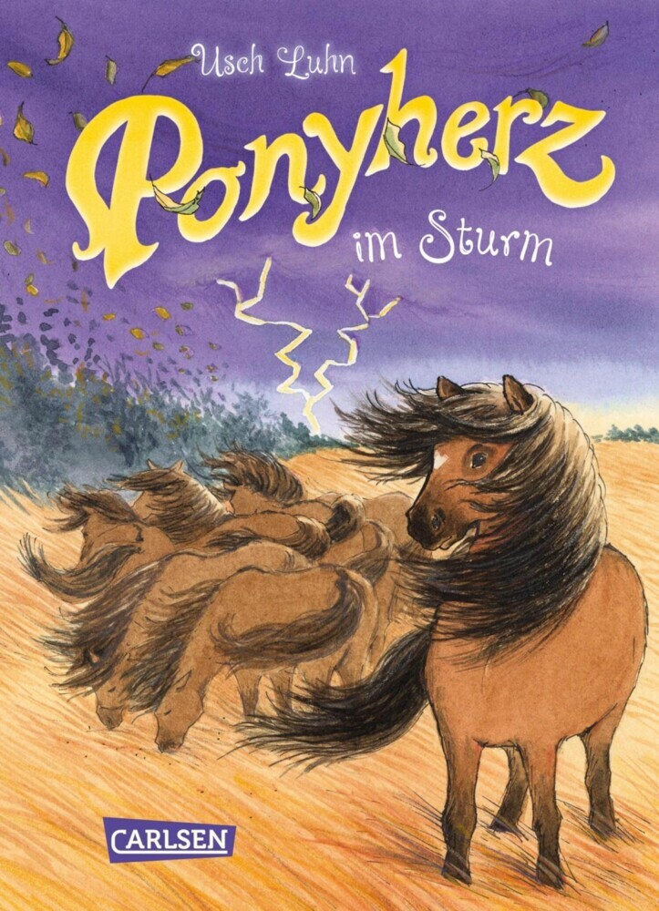 Ponyherz 14: Ponyherz im Sturm main product photo