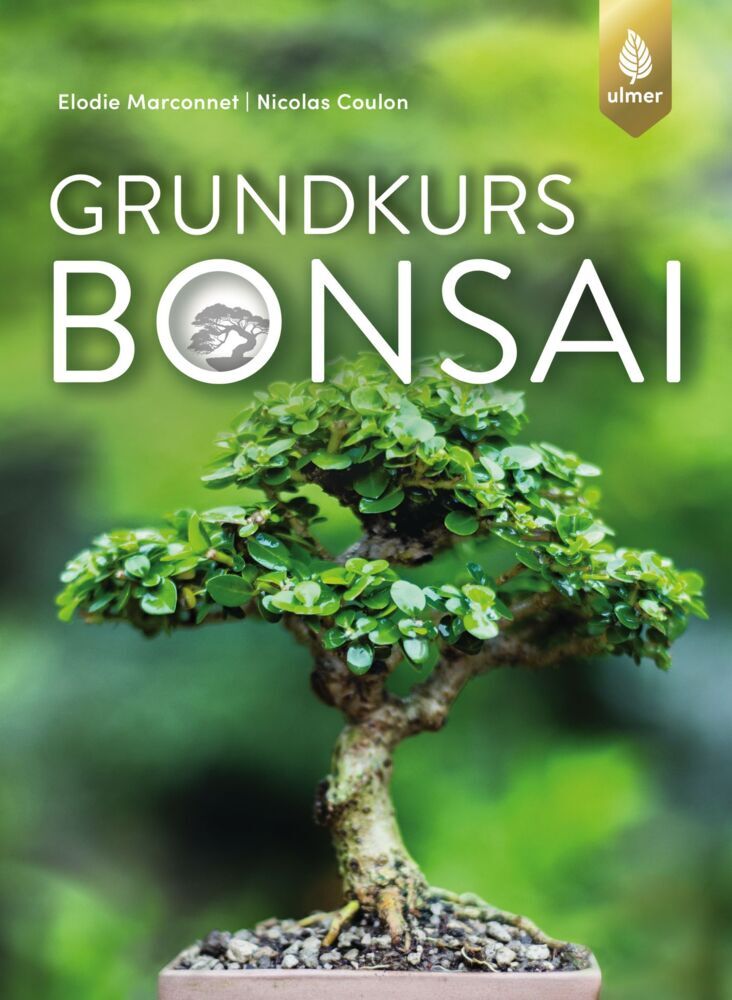 Grundkurs Bonsai main product photo