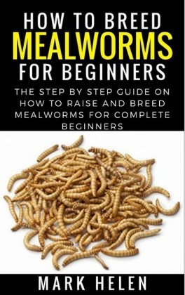 How to Breed Mealworms for Beginners
