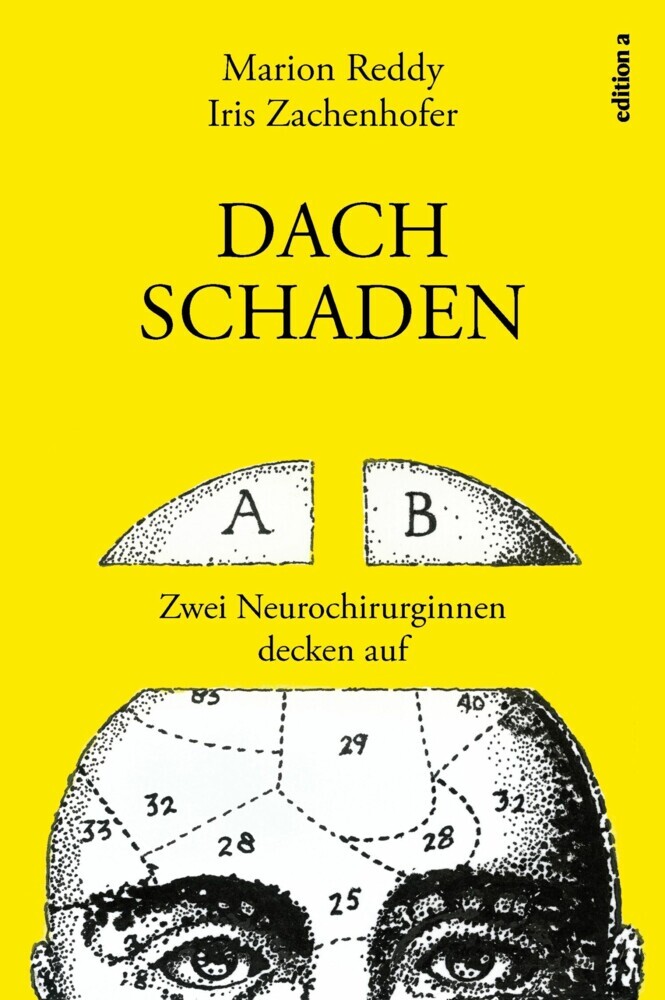 Dachschaden main product photo