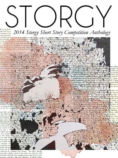 STORGY main product photo