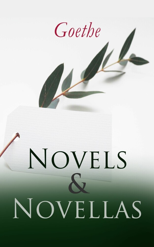 Goethe: Novels & Novellas main product photo