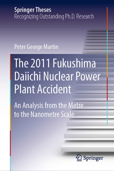The 2011 Fukushima Daiichi Nuclear Power Plant Accident main product photo