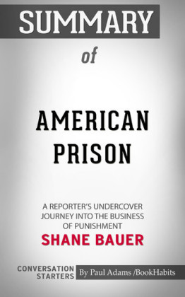 Summary of American Prison