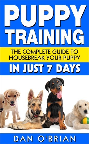 Puppy Training main product photo