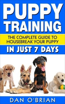 Puppy Training