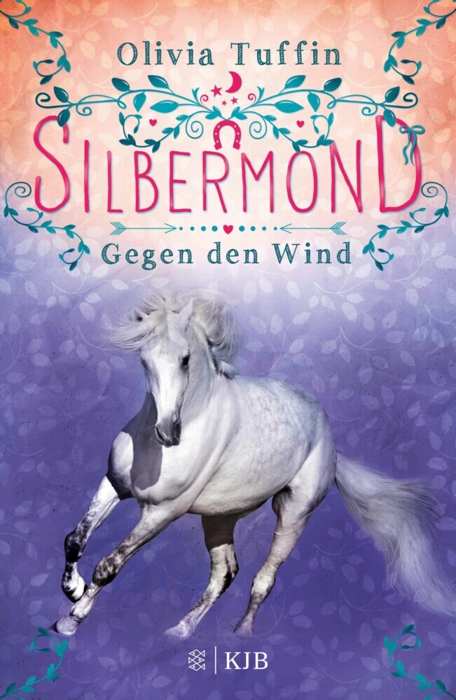 Silbermond: Gegen den Wind main product photo