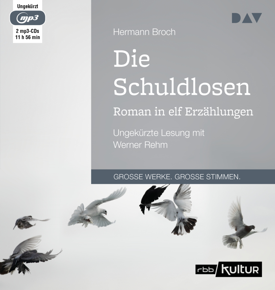 Die Schuldlosen. Roman in elf Erzählungen, 2 Audio-CD, 2 MP3 main product photo