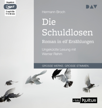Die Schuldlosen. Roman in elf Erzählungen, 2 Audio-CD, 2 MP3