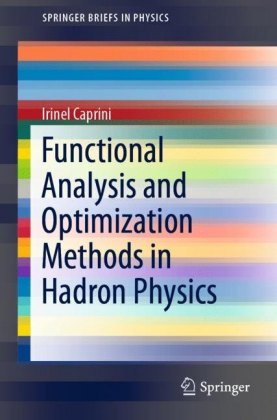 Functional Analysis and Optimization Methods in Hadron Physics