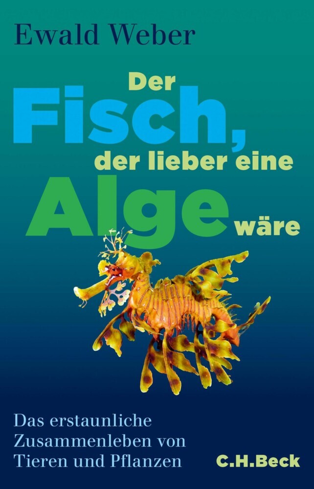 Der Fisch, der lieber eine Alge wäre main product photo