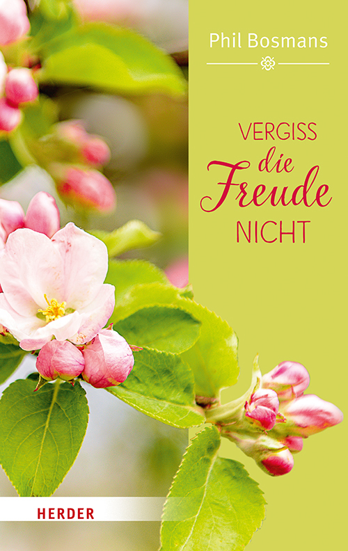 Vergiss die Freude nicht main product photo