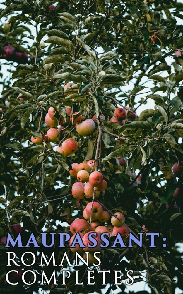 Maupassant: Romans complètes main product photo