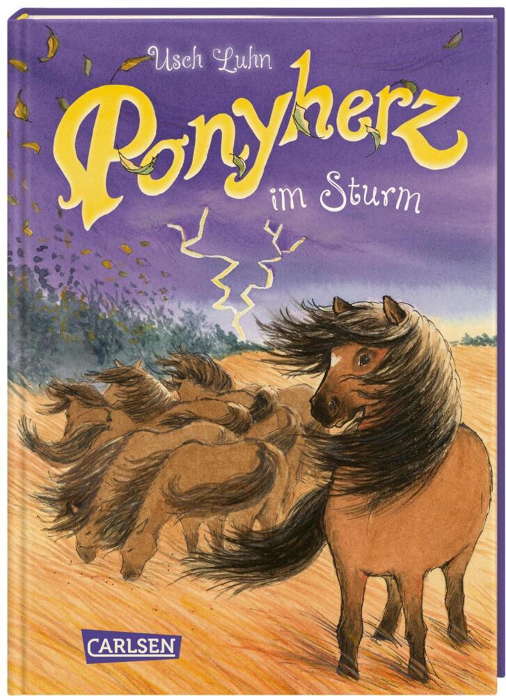 Ponyherz 14: Ponyherz im Sturm main product photo