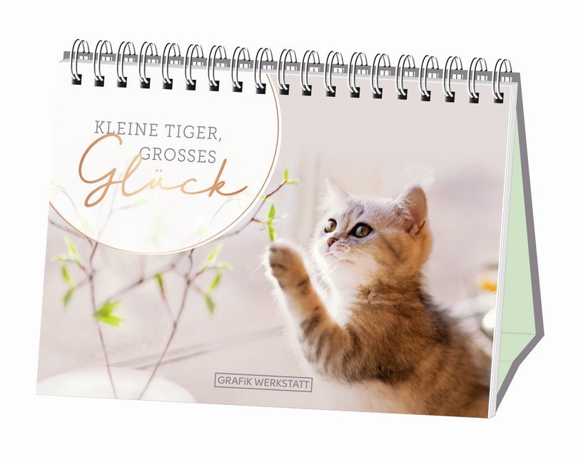 Kleine Tiger, großes Glück main product photo