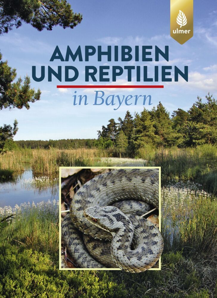 Amphibien und Reptilien in Bayern main product photo