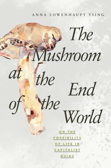 The Mushroom at the End of the World main product photo