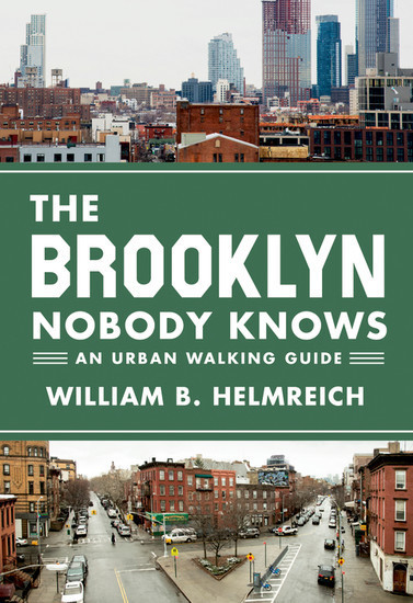 The Brooklyn Nobody Knows main product photo