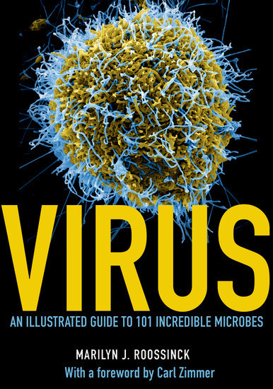 Virus main product photo