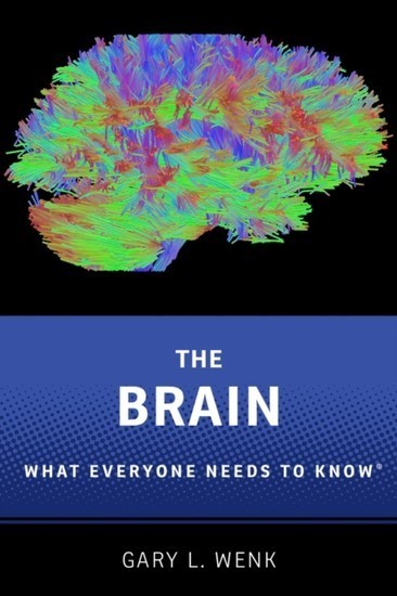Brain main product photo