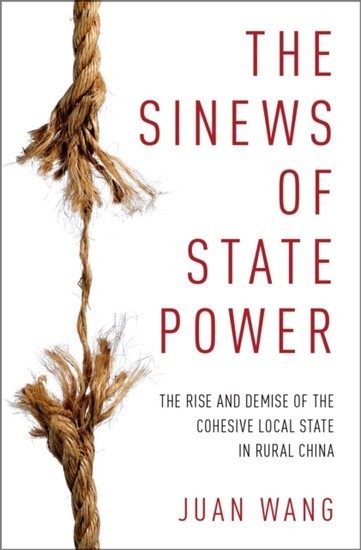 Sinews of State Power main product photo