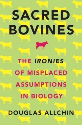 Sacred Bovines