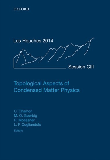Topological Aspects of Condensed Matter Physics main product photo